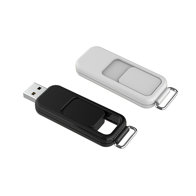  Flash Drives-U655